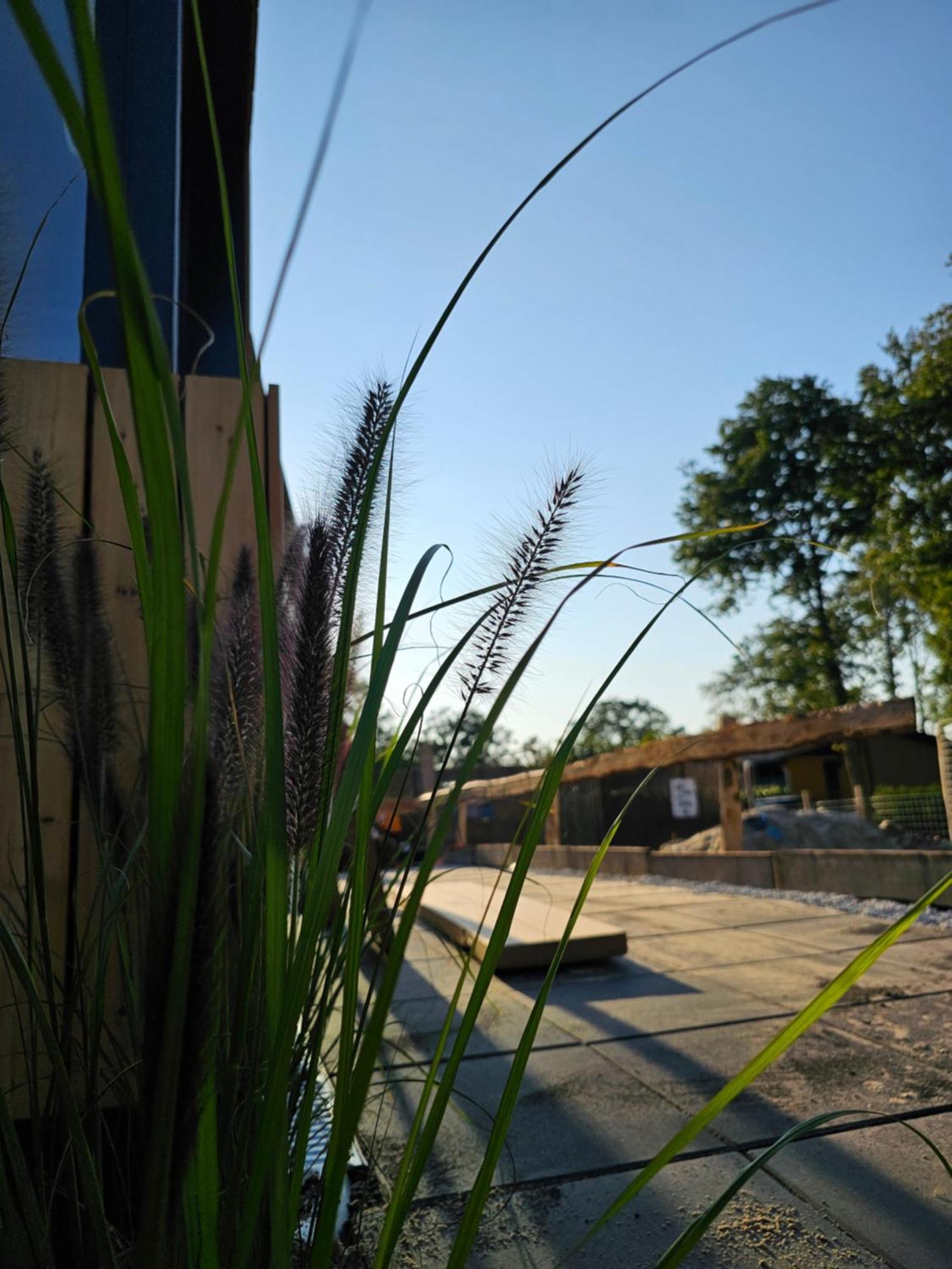 "Chalet Zanna" Opende-Oost المظهر الخارجي الصورة